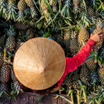 Vietname com Delta do rio Mekong